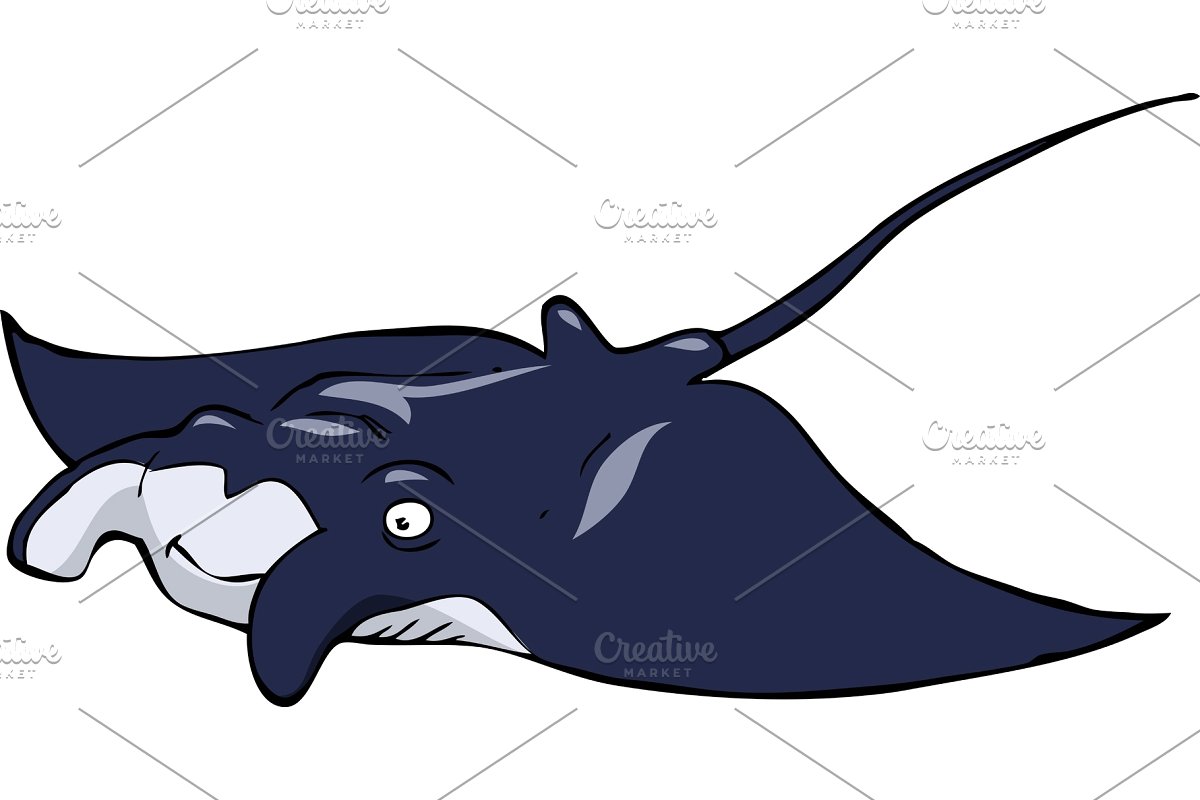 Manta Ray Vector