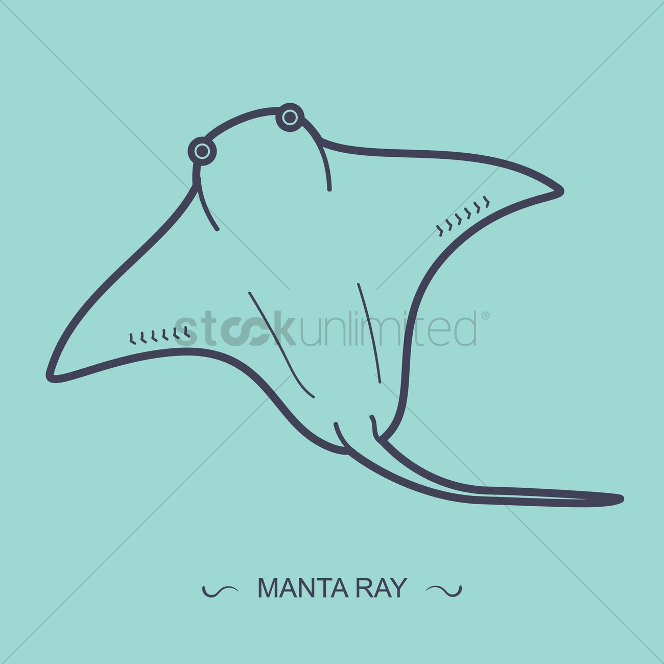 1300x1300 Manta Ray Vector Image