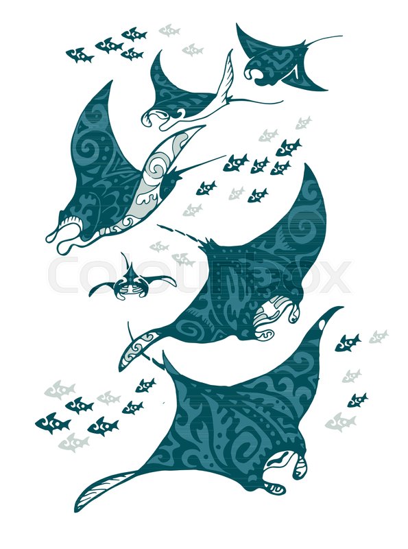 595x800 Manta Ray And Fish In The Sea Vector Stock Vector Colourbox