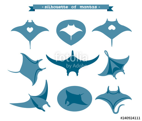 500x425 Set Of Manta Ray Stock Image And Royalty Free Vector