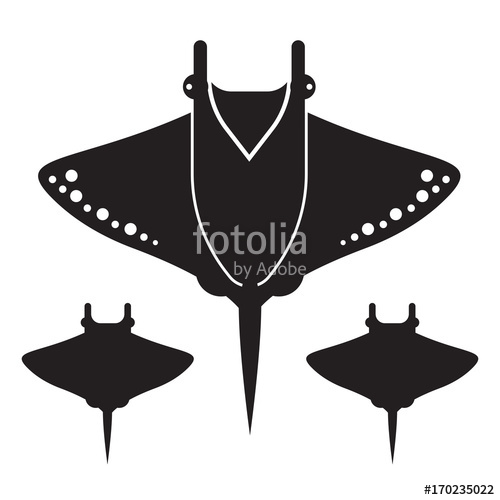 500x500 Silhouette Of Stingray Isolated On White Background Manta Ray