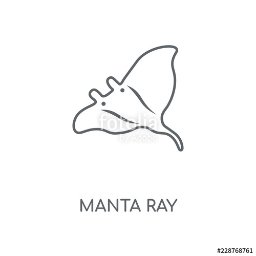500x500 Manta Ray Icon Stock Image And Royalty Free Vector