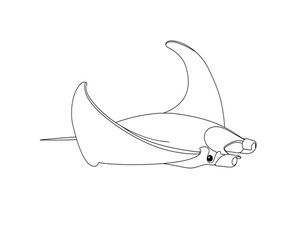 300x225 Vector Line Cartoon Animal Clip Art Exotic Manta Ray Royalty Free