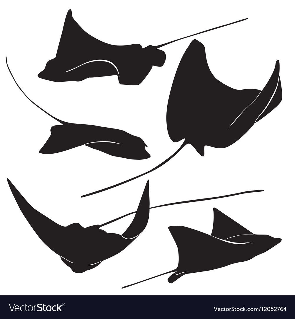 Manta Ray Vector at Vectorified.com | Collection of Manta Ray Vector ...