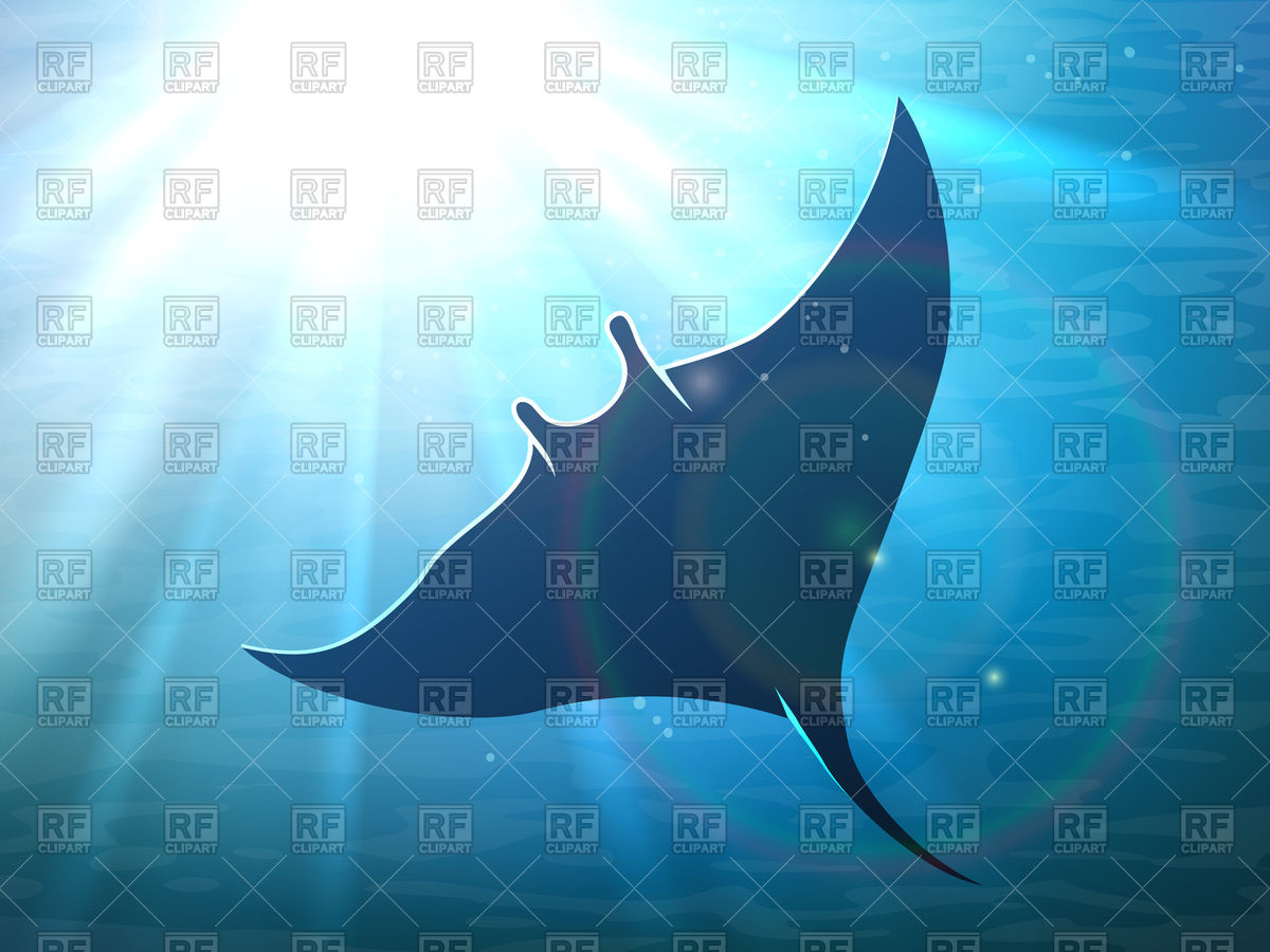 1200x900 Dark Manta Ray In Ocean Deep Water With Light Rays Vector Image