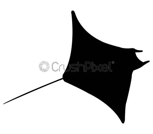500x438 Fish Manta Ray Icon, Stock Vector Crushpixel