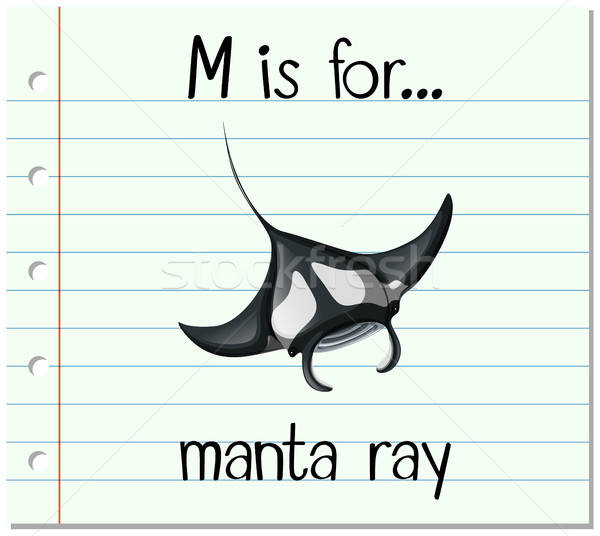 600x536 Flashcard Letter M Is For Manta Ray Vector Illustration Daniel