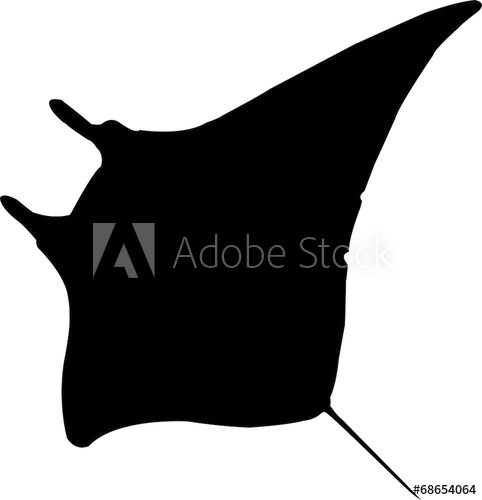 482x500 Manta Ray