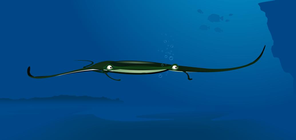 1035x490 Manta Ray