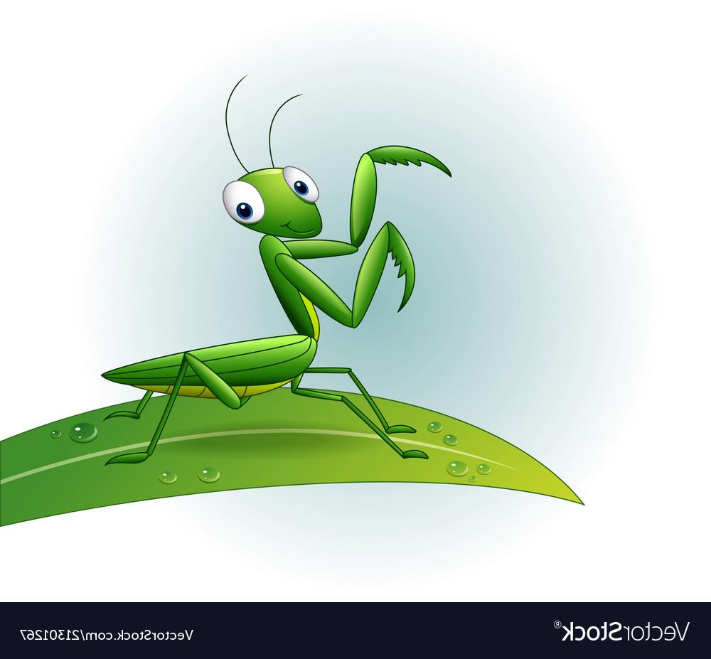 1000x927 Hd Scary Praying Mantis Illustration Vector Pictures Vector