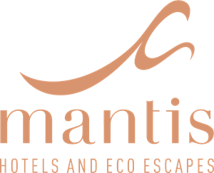 300x243 Mantis Logo Vector