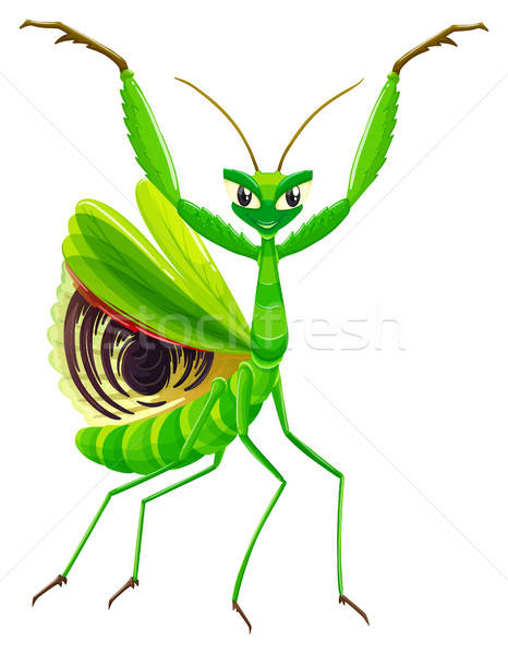 466x600 Mantis Stock Vectors, Illustrations And Cliparts Stockfresh