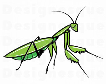 340x270 Mantis Vector Etsy