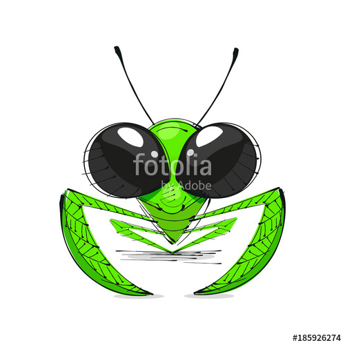 500x500 Mantis Vector Illustration Stock Image And Royalty Free Vector