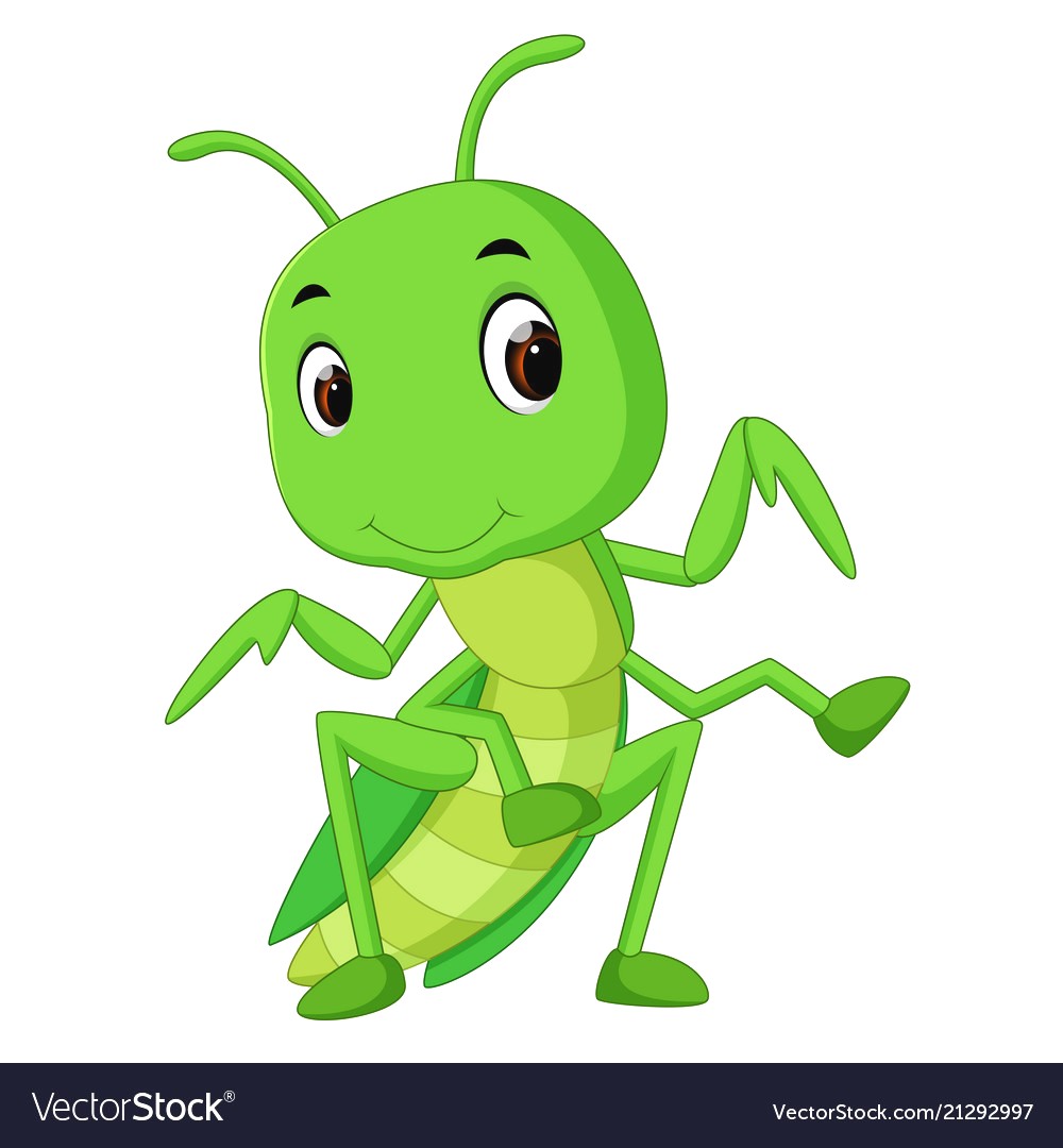 1000x1080 Noted Cartoon Praying Mantis Hands Vector Images