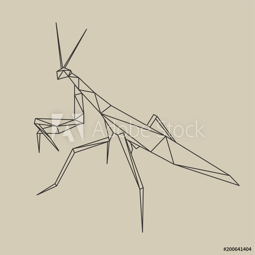 1000x1000 Photo Art Print Origami Polygonal Line Style Mantis Vector