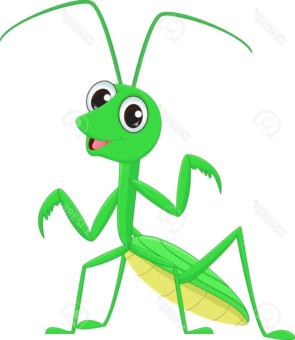 Mantis Vector at Vectorified.com | Collection of Mantis Vector free for ...