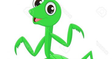 367x195 Praying Mantis Vector Archives