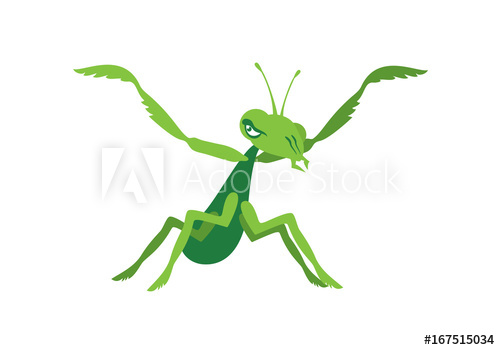 500x350 Praying Mantis Vector Mantis Icon Isolated On White Background
