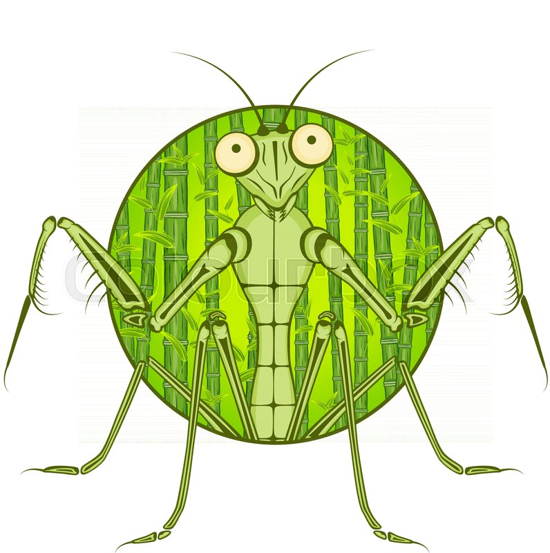796x800 Praying Mantis Funny Vector Stock Vector Colourbox