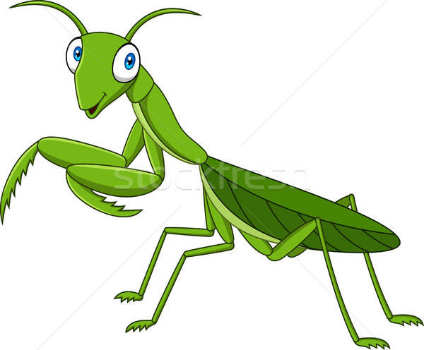 600x496 Cartoon Green Mantis Vector Illustration Teguh Mujiono