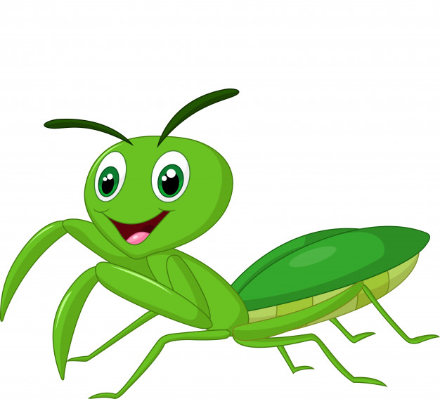 626x568 Cartoon Praying Mantis Vector Premium Download