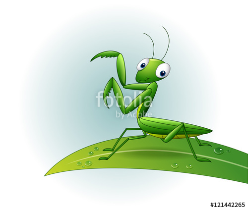 500x424 Cartoon Praying Mantis On Leaf Stock Image And Royalty Free