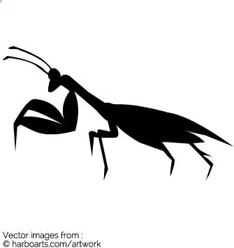335x355 Download Mantis
