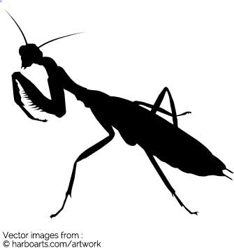 335x355 Download Mantis Silhouette