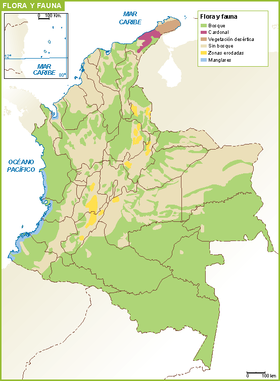 554x754 Colombia Mapa Flora Fauna Vector World Maps
