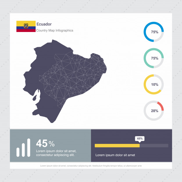 626x626 Ecuador Map Flag Infographics Template Vector Premium Download
