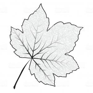 Autumn Background With Maple Leaves Vector Clipart Hoodamath 300x300 Autumn Background With Maple Leaves Vector Clipart Hoodamath