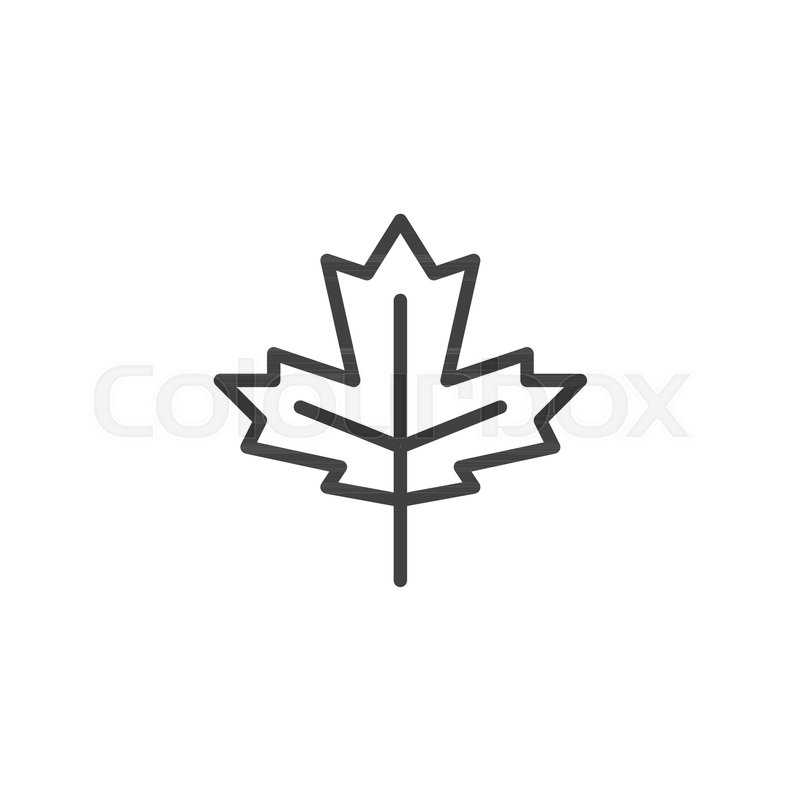 Maple Leaf Outline Icon Linear Style Stock Vector Colourbox 800x800 Maple Leaf Outline Icon Linear Style Stock Vector Colourbox