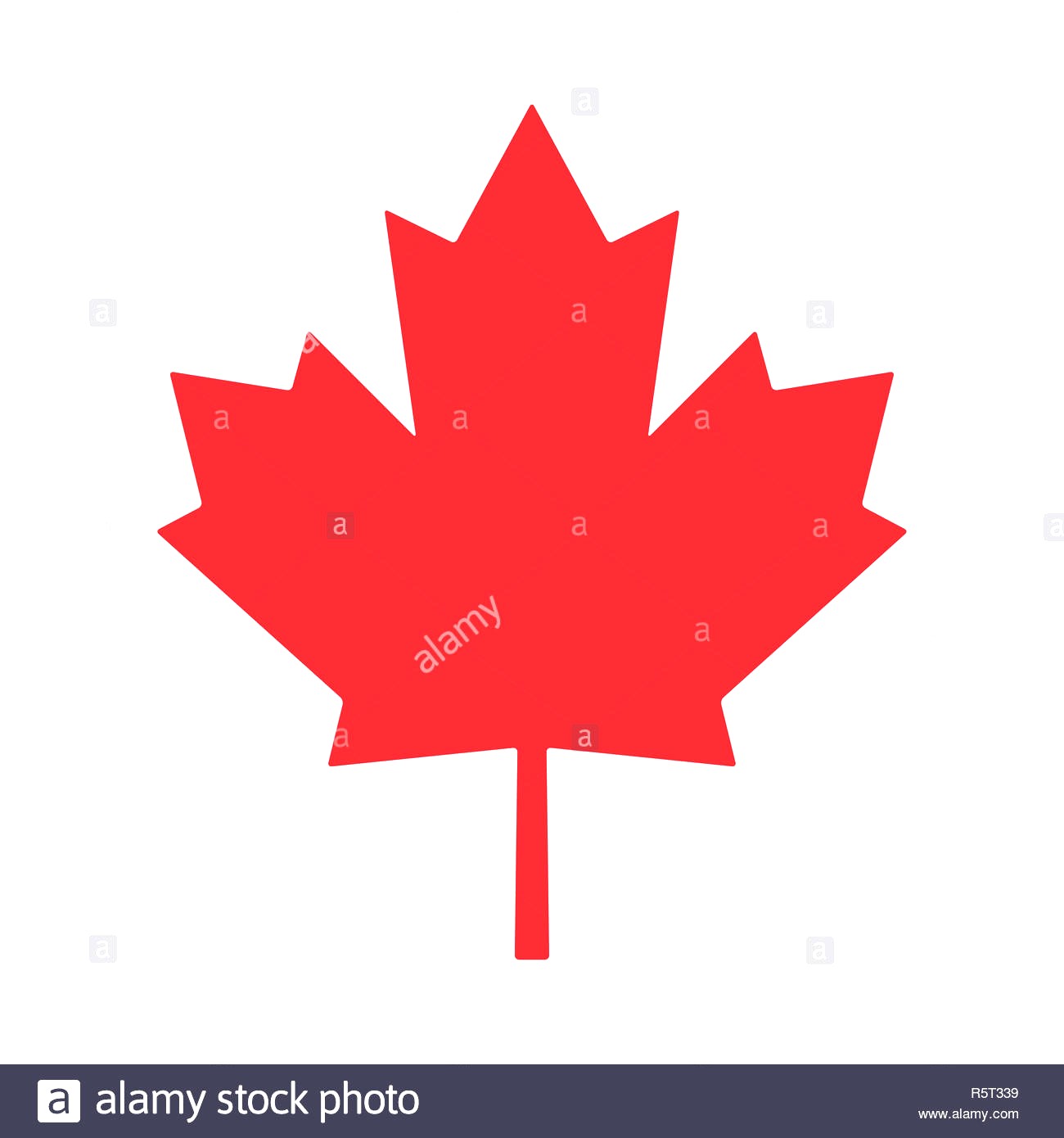 Sure Fire Canadian Maple Leaf Outline Canada Day Stock Photos 1300x1390 Sure Fire Canadian Maple Leaf Outline Canada Day Stock Photos
