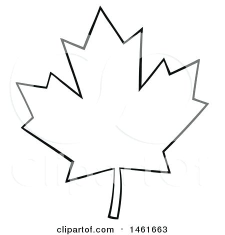 Outline Of A Maple Leaf 450x470 Outline Of A Maple Leaf