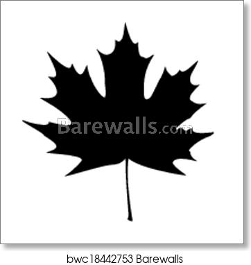 362x382 Maple Leaf Silhouette, Art Print Barewalls Posters Prints