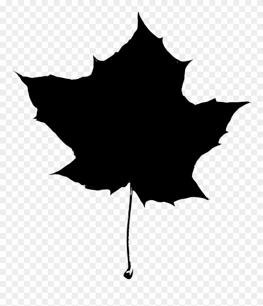 880x1024 Maple Leaf Silhouette Clipart