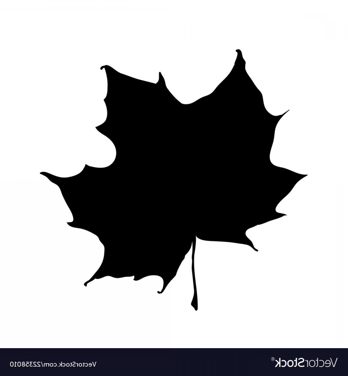 Maple Leaf Silhouette Vector at Vectorified.com | Collection of Maple ...