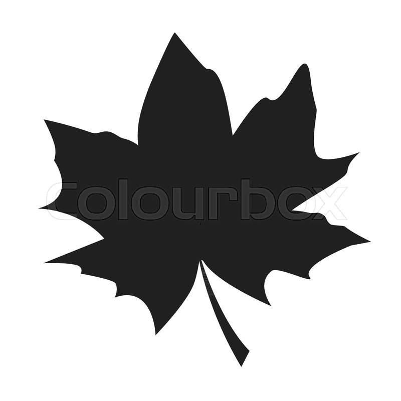 800x800 Maple Leaf Black Silhouette Autumn Stock Vector Colourbox
