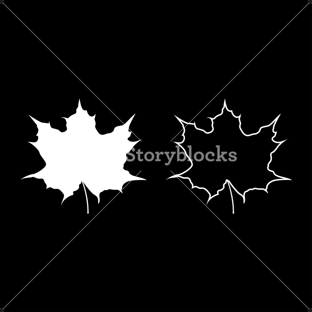 1000x1000 Maple Leaf Silhouette Icon Set White Color Vector Illustration