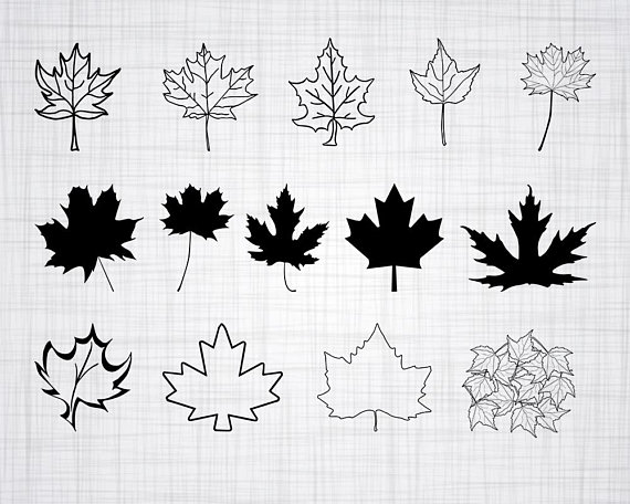 570x456 Pin On Cricut Vinyl