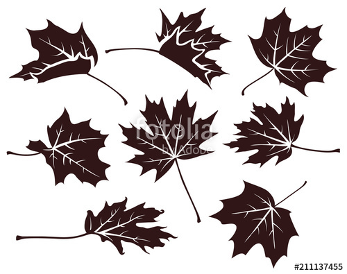 500x395 Set Of Decorative Autumn Maple Leaves Vector Leaf Silhouette