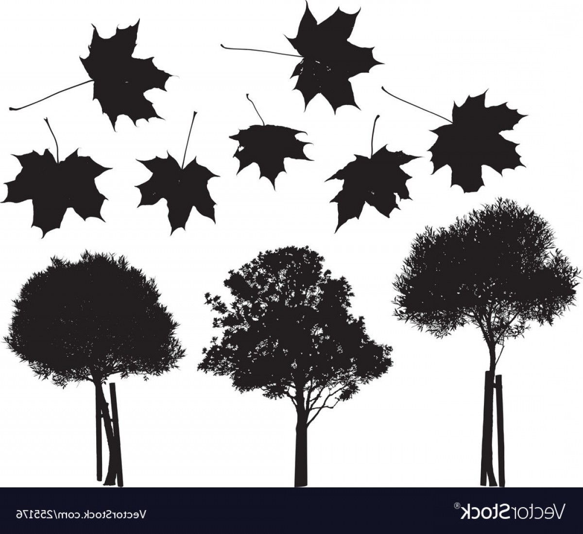 1200x1099 Tree And Maple Leaves Silhouettes Vector Soidergi