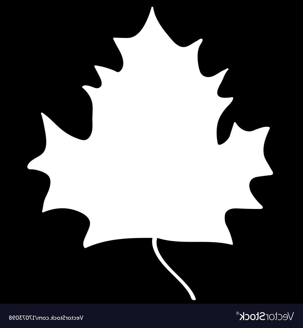 1000x1080 Unique Maple Leaf Silhouette Vector Photos Free Vector Art