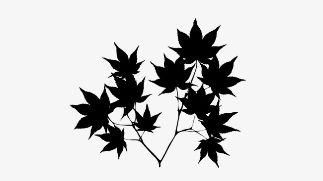 650x366 Maple Leaf, Leaf Vector, Maple Leaf Silh