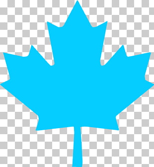 Maple Leaf Vector