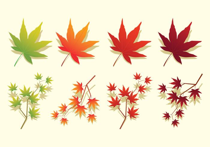 Maple Leaf Free Vector Art 700x490 Maple Leaf Free Vector Art