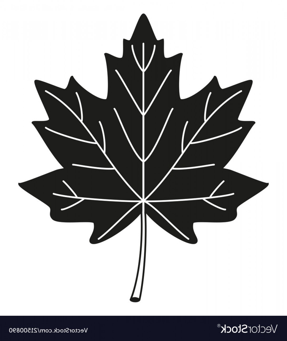 Клён канадский лист силует