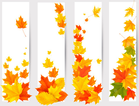 Maple Leaf Free Vector Download 469x359 Maple Leaf Free Vector Download