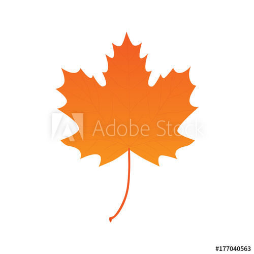 Maple Leaf Vector at Vectorified.com | Collection of Maple Leaf Vector ...